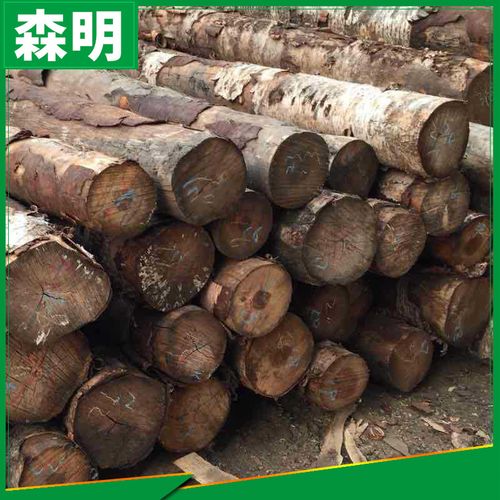 現(xiàn)貨銷售俄羅斯樺木家具木材樺木木材原木批發(fā)1