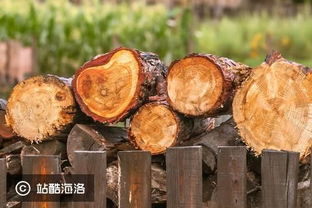 先提升行業(yè)效率,再切供應(yīng)鏈金融, 真木網(wǎng) 為貿(mào)易商提供木材 b2b 平臺