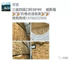 找原木,找板材,在這里,2018年6月22日,精品木材銷售信息,履約思源,不忘初心 政務(wù) 網(wǎng)