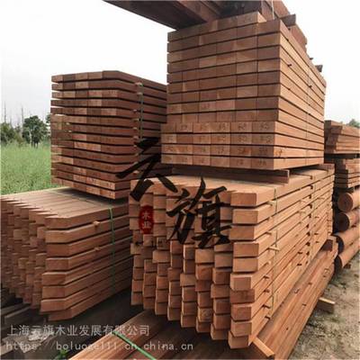 泰安印尼菠蘿格加工廠哪里有