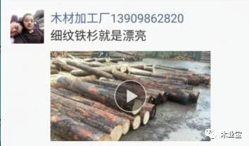 找原木,找板材,在這里,2017年10月17日,精品木材銷售信息,履約思源,不忘初心 財(cái)經(jīng) 網(wǎng)