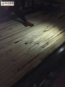,批發,價格表,規格,圖片,廠家,更多木材產品,膠州木材加工廠 中木商網